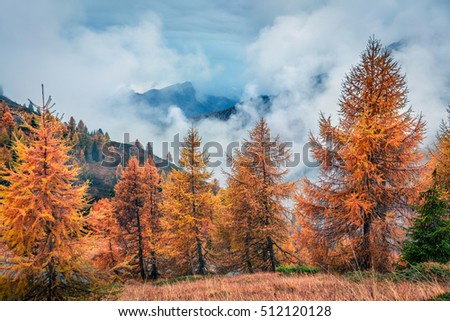 Fantastic foggy view of Dolomite Alps with yellow arch trees. Colorful autumn scene in mountains. Giau pass location, Italy, Europe. Artistic style post processed photo.
