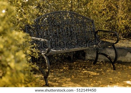 Park Bench in the evening Light