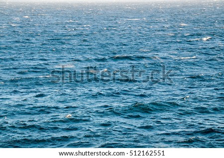 Blue Still Sea Water With Ripple. Natural Background Photo Texture