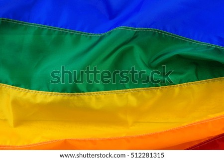 Rainbow Gay Pride flag background.