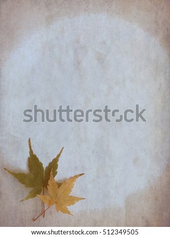Paper art background of Dry leaves Colorful japanese acer maple leaf in red isolated on white two tone paper background 