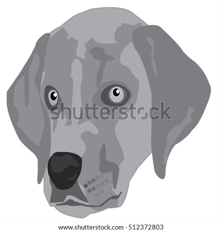 Illustration-of-dog,