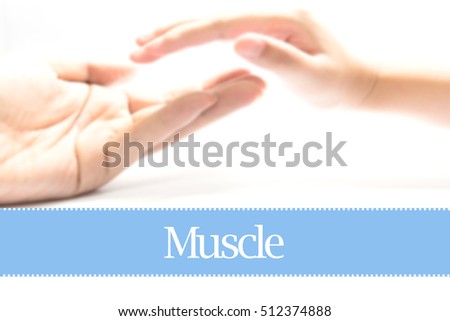 Muscle - Heart shape to represent medical care as concept. The word Muscle is a part of medical vocabulary in stock photo.
