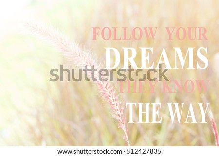 Inspirational quote " Follow your dreams. They know the way." on  Autumn meadow flowers during sunset. Shallow depth of field background
