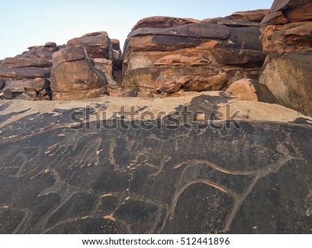 Neolithic rock engravings in Taghit Algeria. Taghit has many volcanic stones that had drawed pictures on ancient humans.