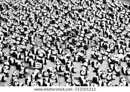 Panda black and White.