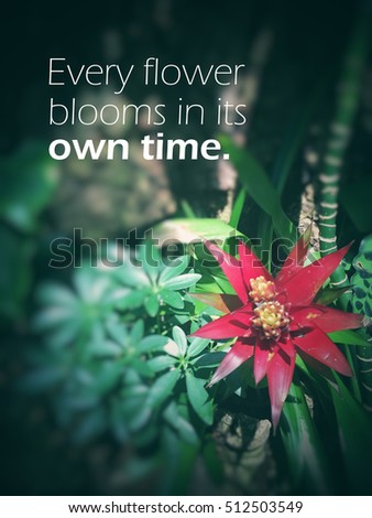 inspiration quote on flower background.