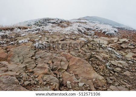 Frozen rocky stones at snow mountains with frost grass and fog on top