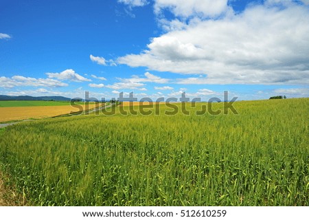 Landscape of Countryside in Hokkaido , Japan