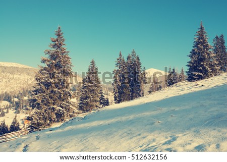 Wonderful landscape in winter mountains during sunset. Toned image.