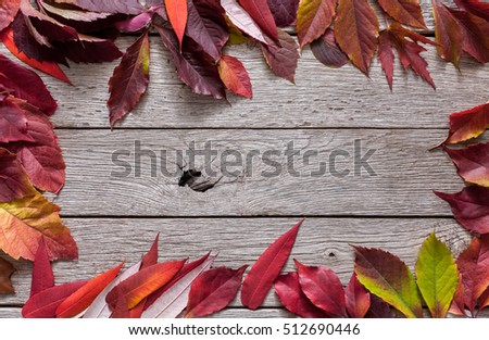 Autumn red rowan, aspen, maple and other leaves frame on rustic weathered old wood background with copy space. Beautiful fall season yellow foliage border.