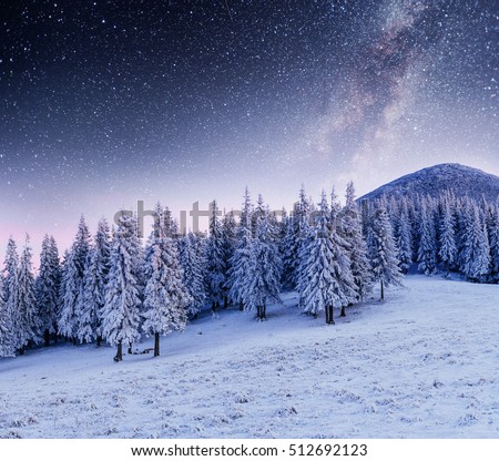Dairy Star Trek in the winter woods. Dramatic and picturesque scene. Carpathian, Ukraine, Europe.
