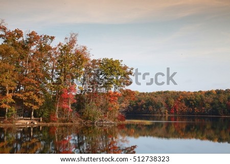 Trees Next to Water with Leaves Changing Color from Green to Red in Burke Lake Park, Virginia