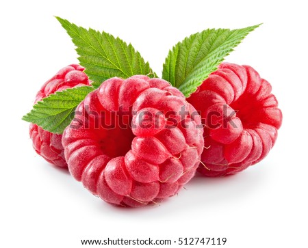Raspberry with leaves. Raspberry isolated on white background. Royalty-Free Stock Photo #512747119