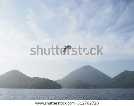 Background of peaceful blue sky, white seagulls and green mountain at TOYA lake, JAPAN