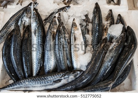 Mackerel fishes in a box at the fish market.