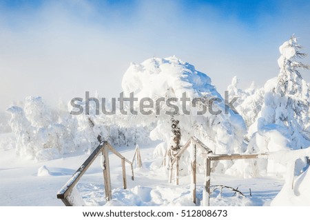 Snow-covered trees in winter forest after snowfall. Beautiful winter landscape.