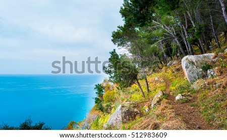 Landscape with trees and stones. Beautiful picture of mediterranean forest. Travel Photography.