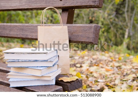 Books and paper bag on a bench in autumn park. Autumn landscape