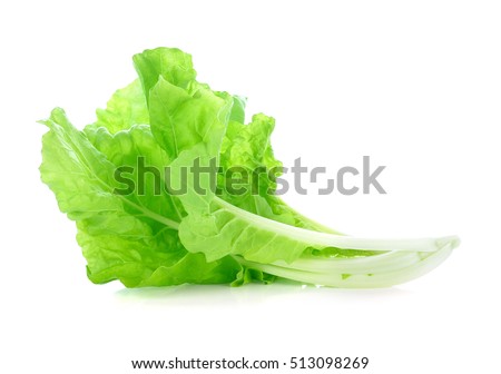 lettuce leaves isolated on white background Royalty-Free Stock Photo #513098269