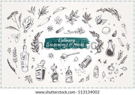 Culinary seasonings and herbs. Set sketch icons. isolated vector. vintage. graphic elements for design restaurant menus and decorating cookbooks and recipes Royalty-Free Stock Photo #513134002