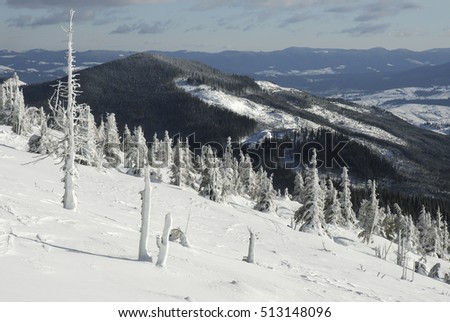 Winter Landscape, Winter Mountains, Carpathian Mountains, Ukraine