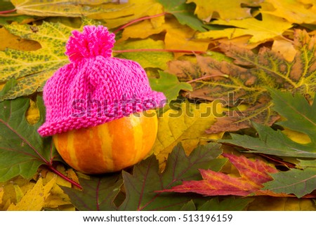 Decorative pumpkin in a pink knitted cap on the autumn leaves, the pumpkin is located on the left in the photo
