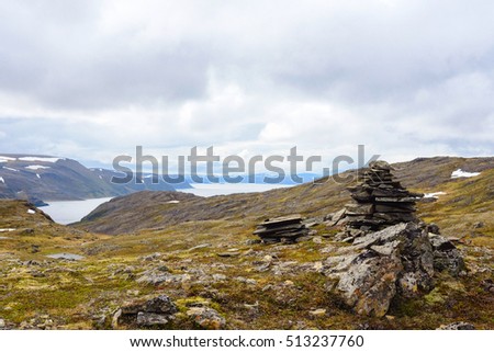 the nature of northern Norway Summer in the mountains