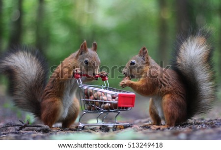 Couple of squirrels eat nuts from the small cart