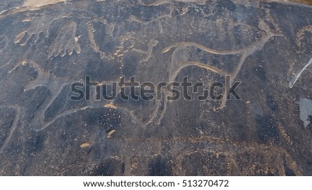 Neolithic rock engravings in Taghit Algeria. Taghit has many volcanic stones that had drawed pictures on ancient humans.