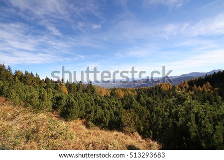 Autumn colors in Mount Cimone. Cimone is the most significant and the northern Apennines in the Emilia-Romagna region, with a height of 2,165