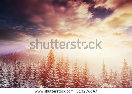 Beautiful landscape of majestic mountains in winter. Magical snow covered trees. Photo greeting card. Bokeh light effect, soft filter. Carpathian Ukraine. Happy New Year.
