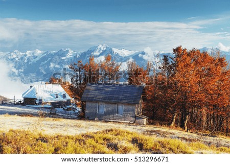 Carpathian mountain landscape with wooden farmhouse. October mountain beech forest with first winter snow. Carpathians, Ukraine, Europe