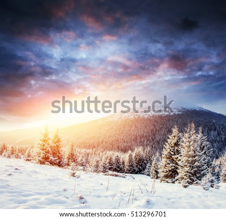Beautiful landscape of majestic mountains in winter. Magical snow covered trees. Carpathian Ukraine. Happy New Year.