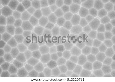 white and gray polystyrene abstract texture for background, Insulation Material