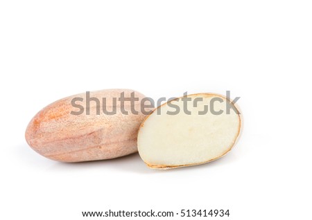 seed of jackfruit isolated on white background