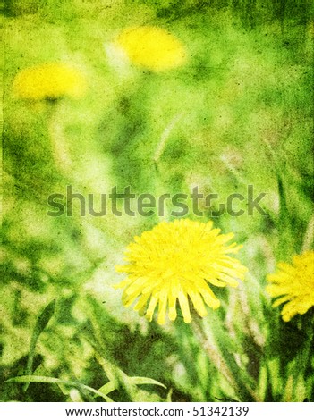 Grunge stained paper background  with dandelions afield