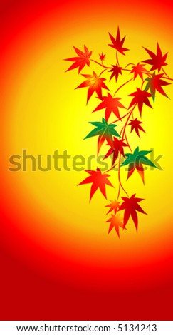 Maple leaves. Background.