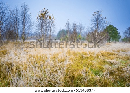 Frosty morning landscape. Early winter landscape with meadow and hoarfrost