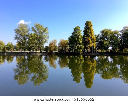 mirror reflection of trees in a lake, nature background.