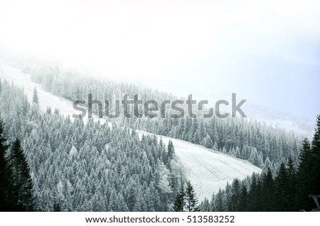 Winter background with evergreen trees and landscape covered in snow - 