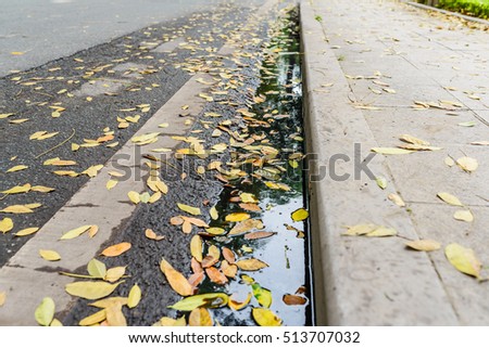 fallen leaves on the street, dark wet ground, black stagnant water