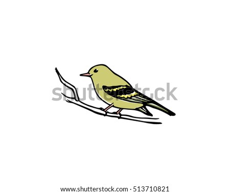 Vector illustration of hand drawn North America bird sitting on a branch. Ink drawing, graphic style.