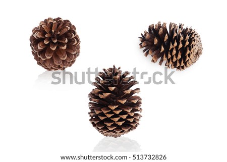 Pine cone isolated on white background with clipping path.                           