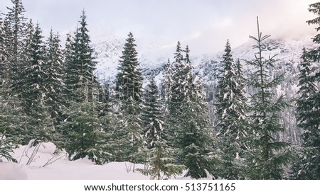 cold morning in the mountains in winter  with snow and blue skies. carpathian - vintage look
