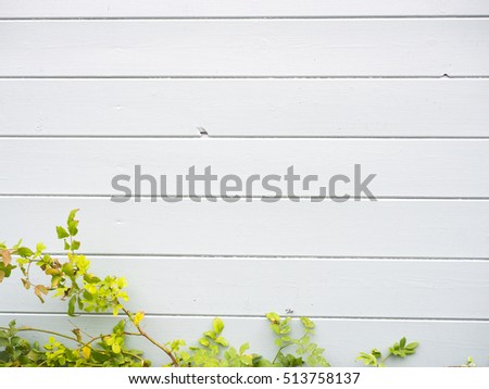 Wooden wall with plant