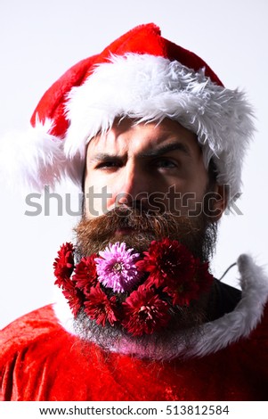 handsome bearded man with stylish mustache and long beard with colorful flowers on serious face in red santa suit isolated on white studio background
