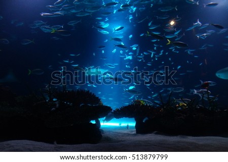 Beautiful deep sea and fish Royalty-Free Stock Photo #513879799