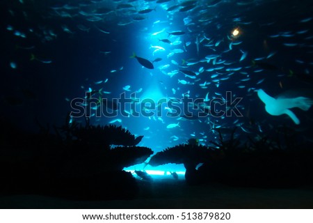 Beautiful deep sea and fish Royalty-Free Stock Photo #513879820