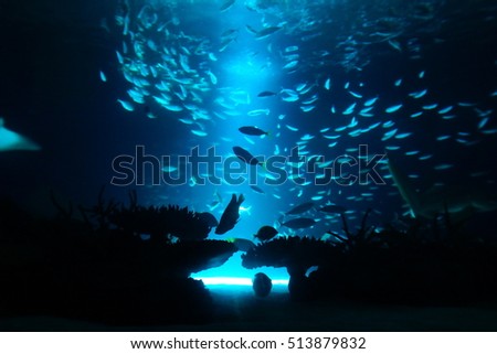 Beautiful deep sea and fish Royalty-Free Stock Photo #513879832